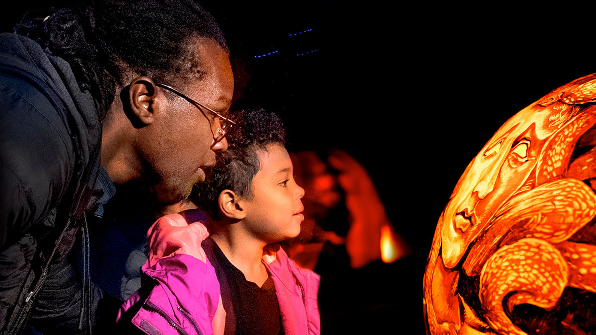 Night of 1,000 Jack-O'-Lanterns at Chicago Botanic Garden