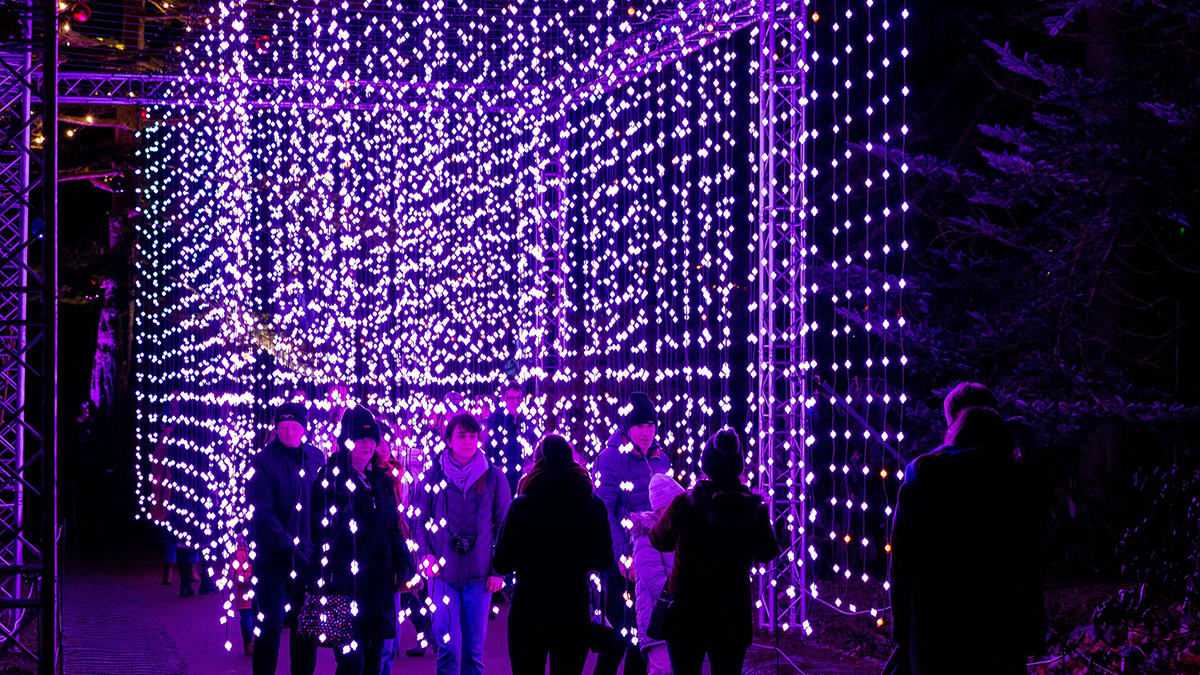 Top 10 Things To Do in November