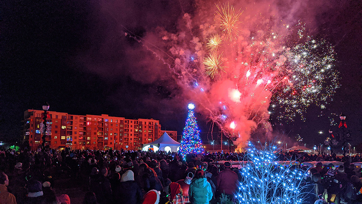 10+ Venues To Get Your Christmas Tree in Lake County