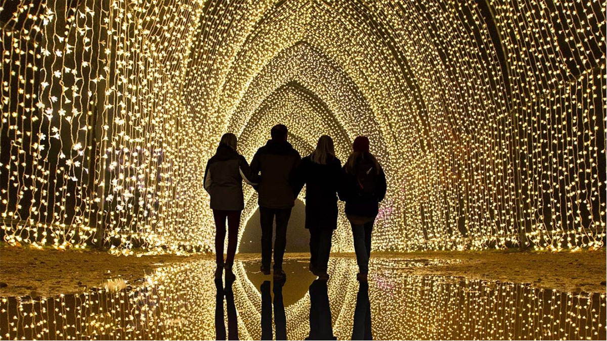 Lightscape at Chicago Botanic Garden in Glencoe