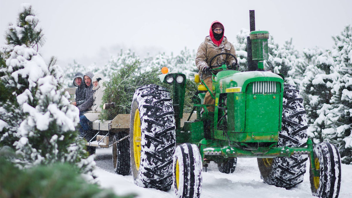 Richardson Christmas Tree Farm in Spring Grove