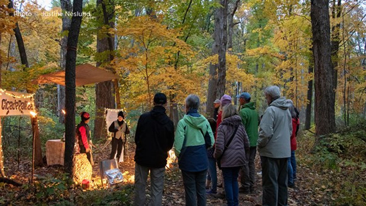 Halloween Hikes at Edward L. Ryerson Conservation Area
