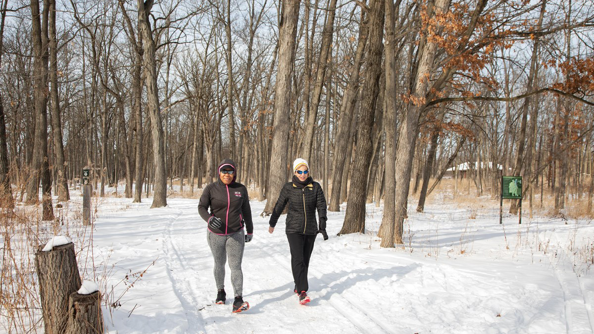 Winter Tree ID at Ryerson Conservation Area