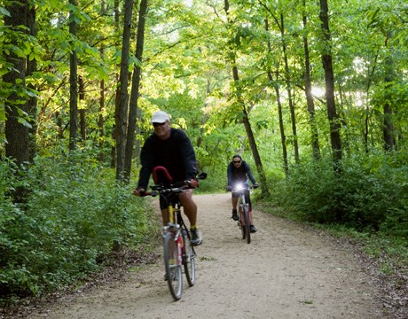 Old School Forest Preserve