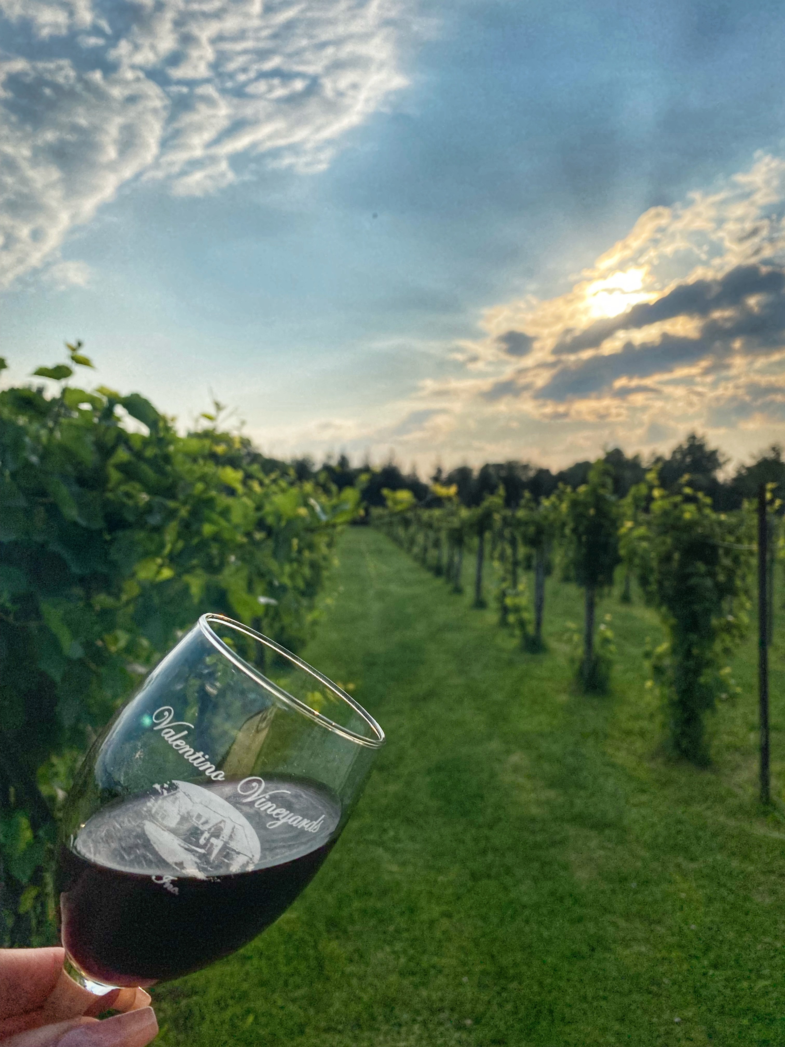 Valentino Vineyards Inc.