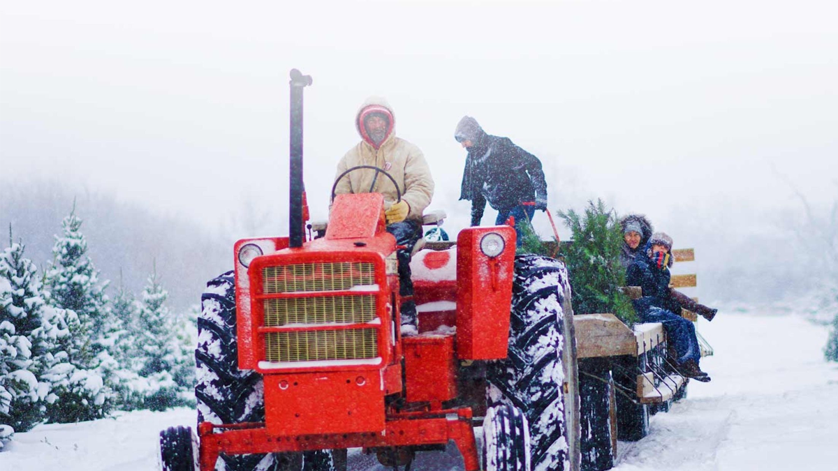 Richardsons Trailer with people and christmas trees