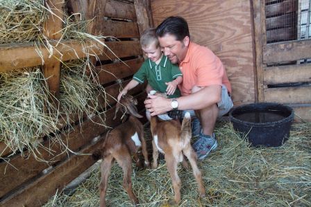 Things To Do This Weekend March 28 - April 1
