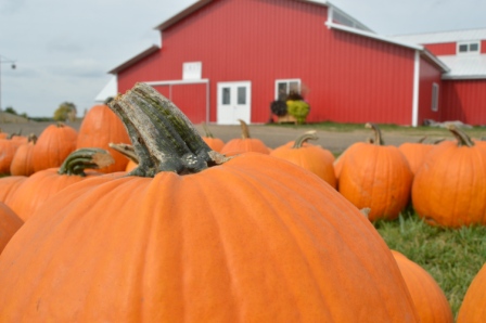Things To Do This Weekend August 31-September 3