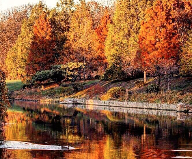10 Best Fall Photo Ops in Lake County