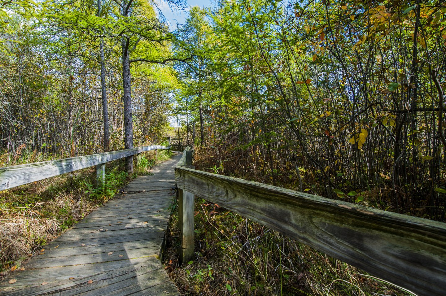 Things To Do This Weekend October 12-14