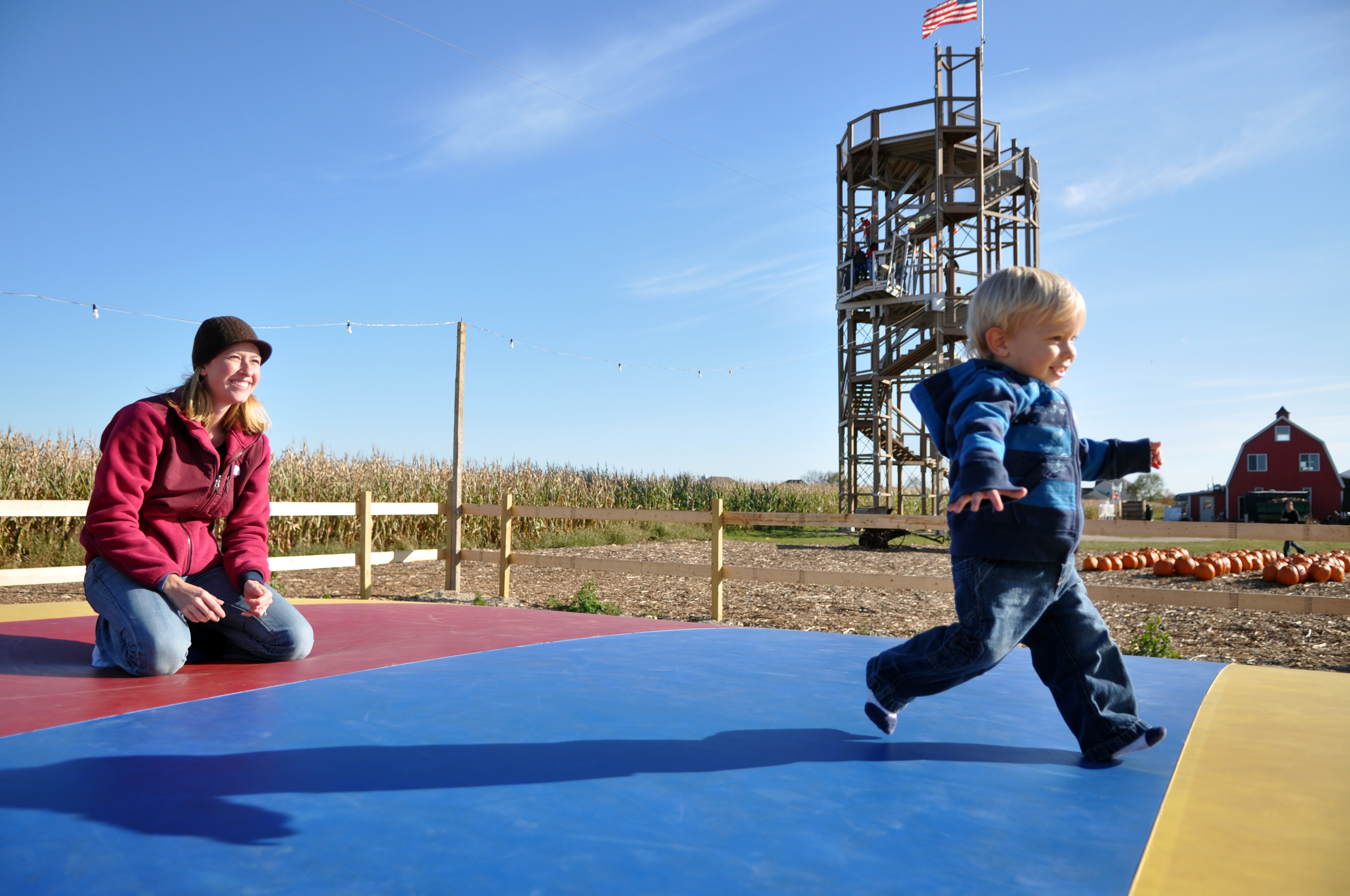 Things To Do This Weekend November 2-4