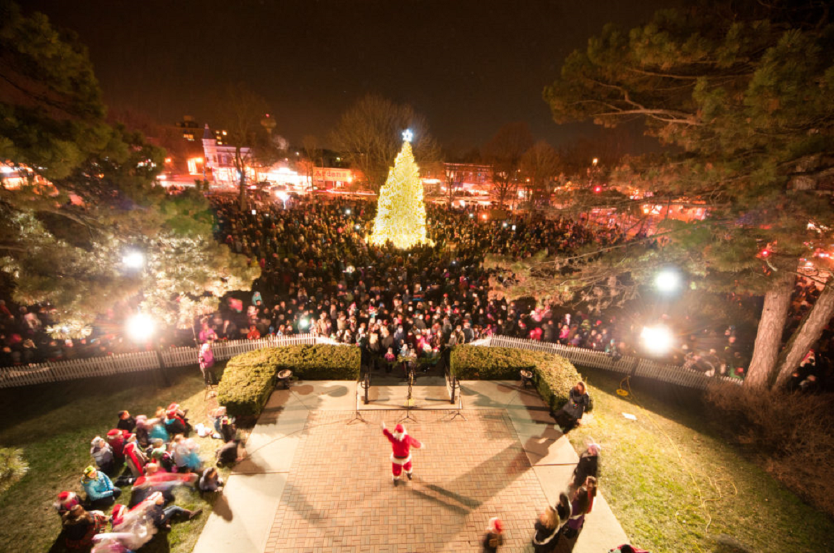 Christmas Tree Lightings in Lake County 2018