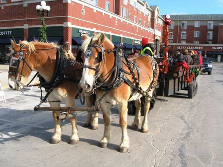 Things To Do This Weekend December 7-9