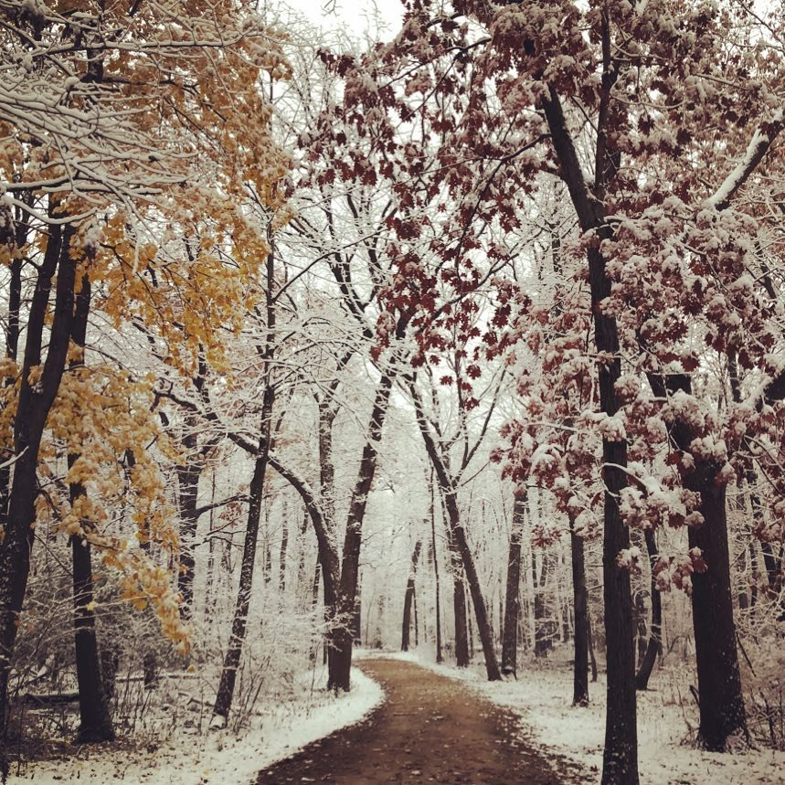 Things To Do This Weekend January 25-27