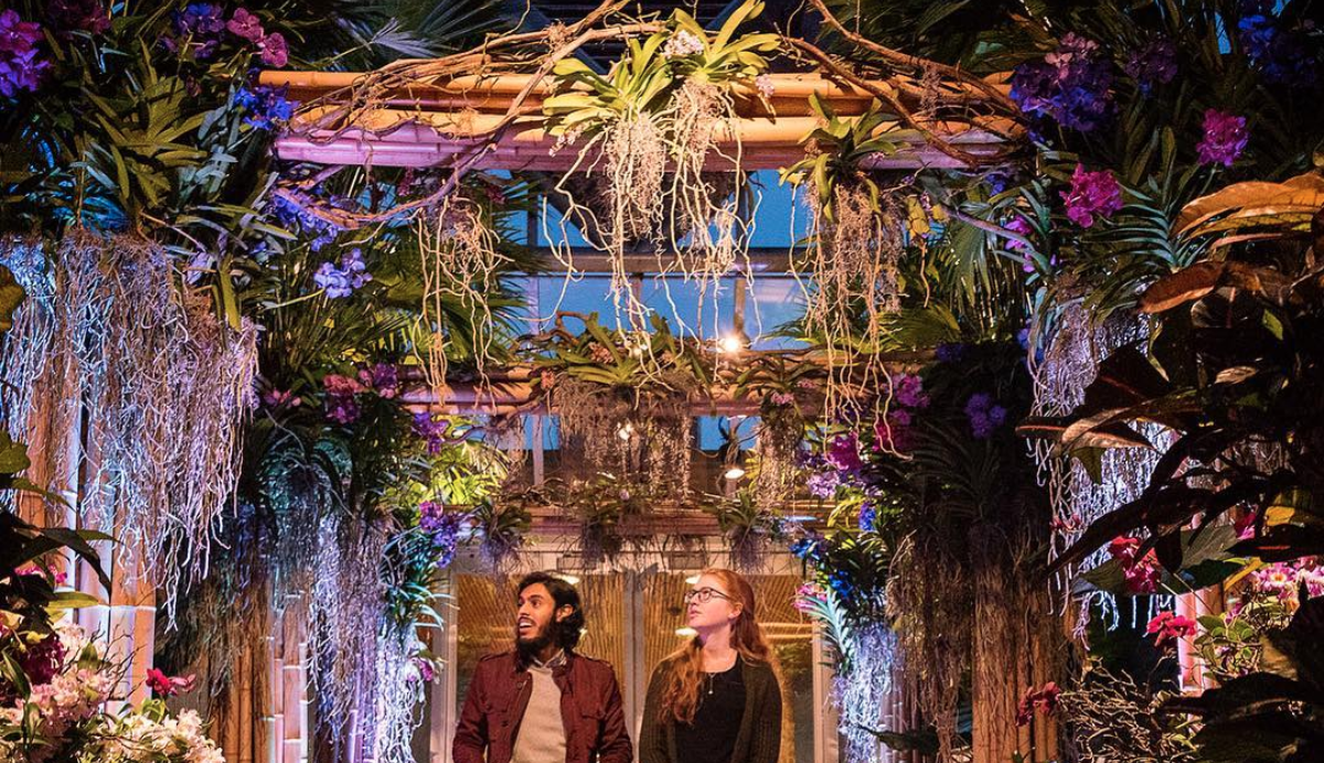 Top 10 Things To Do in February 2019