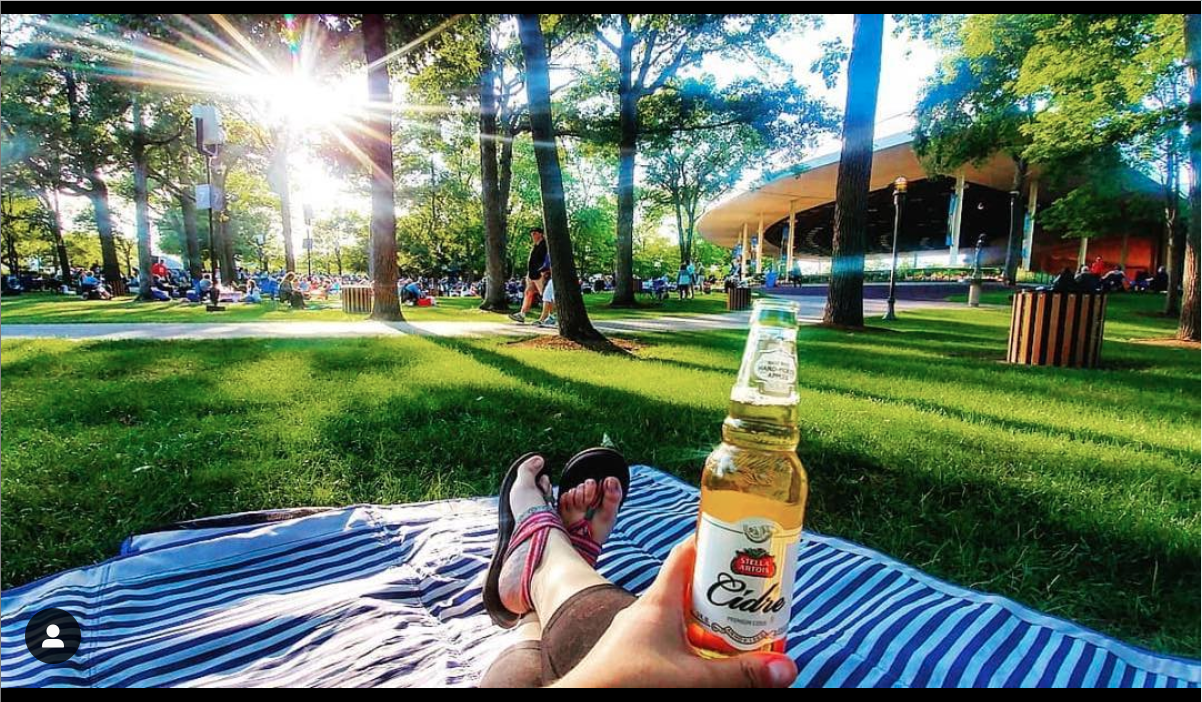 Top 10 Things To Do in May 2019