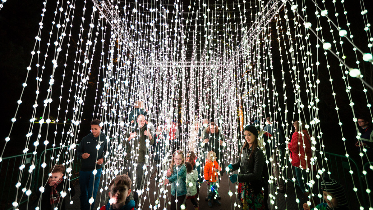 Top 10 Things To Do in November 2019