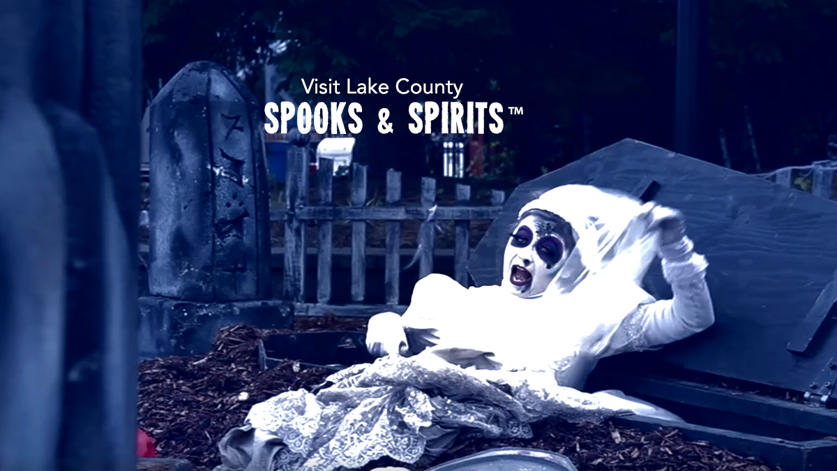 Things To Do This Weekend October 4-6