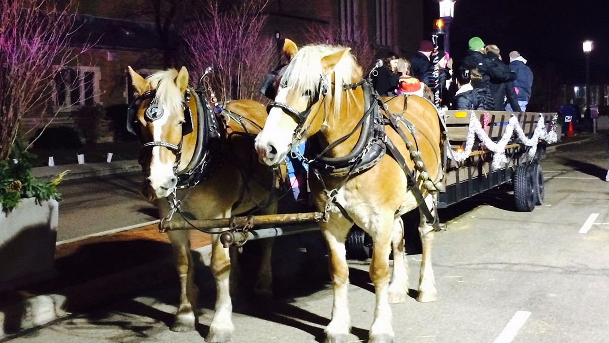 Things To Do This Weekend December 6-8