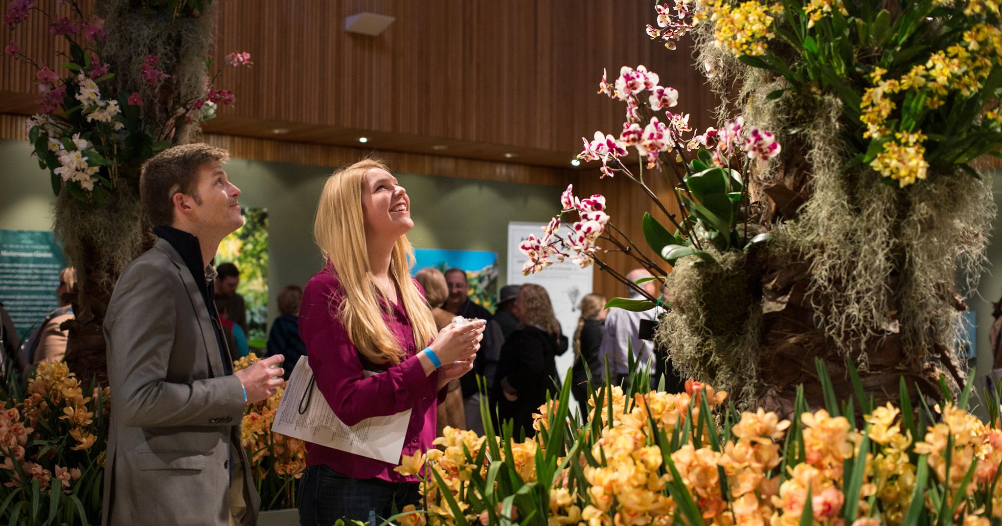 42+ Valentine's Day Ideas in Lake County 2020