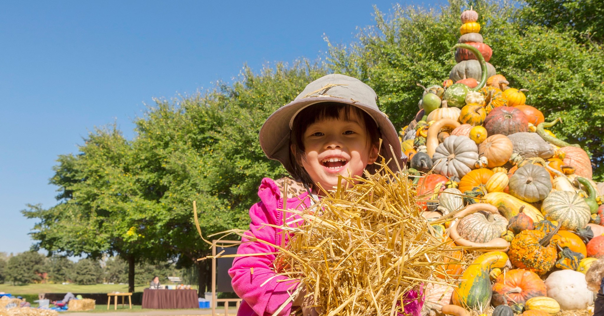 Top 10 Things To Do October 2020 in Lake County