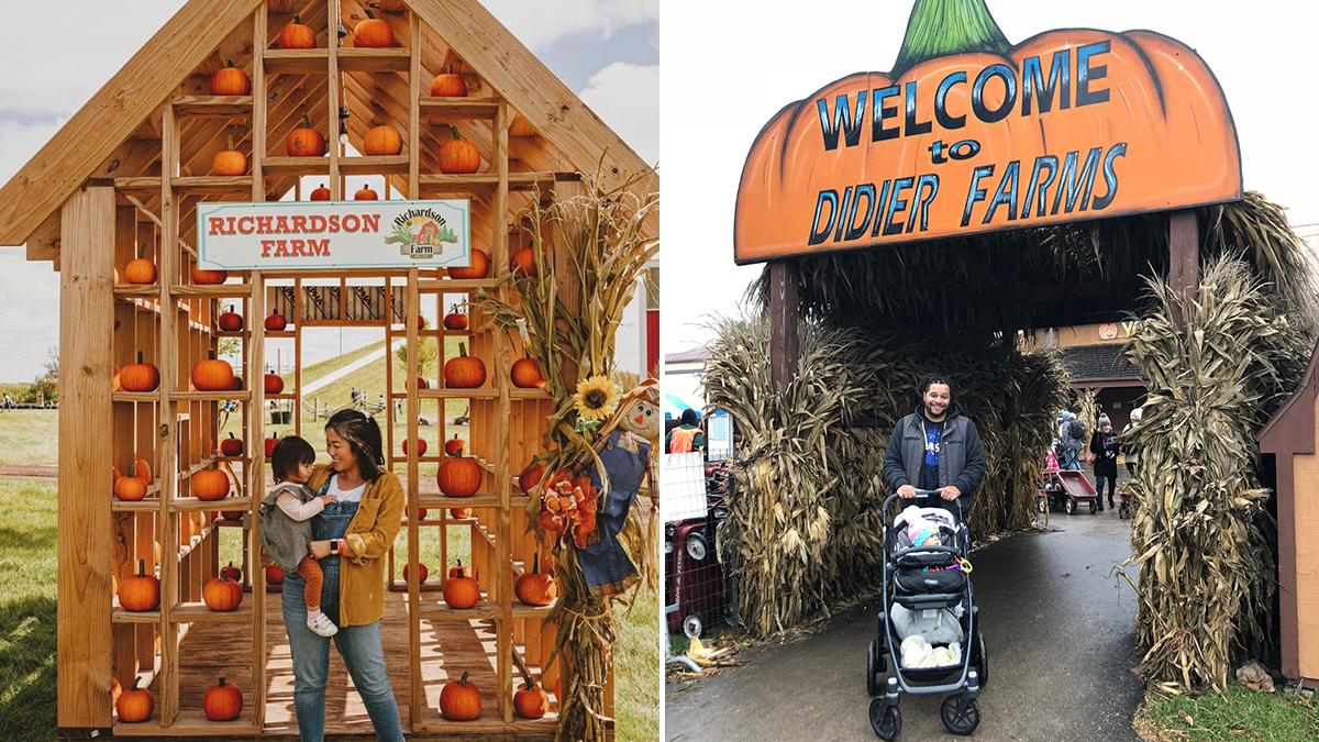 Fall Farm Fun in Lake County
