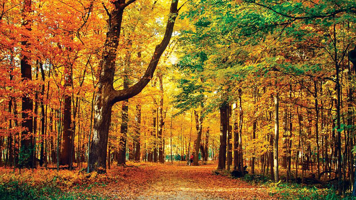 15 Festive Fall Photo Ops in Lake County, IL