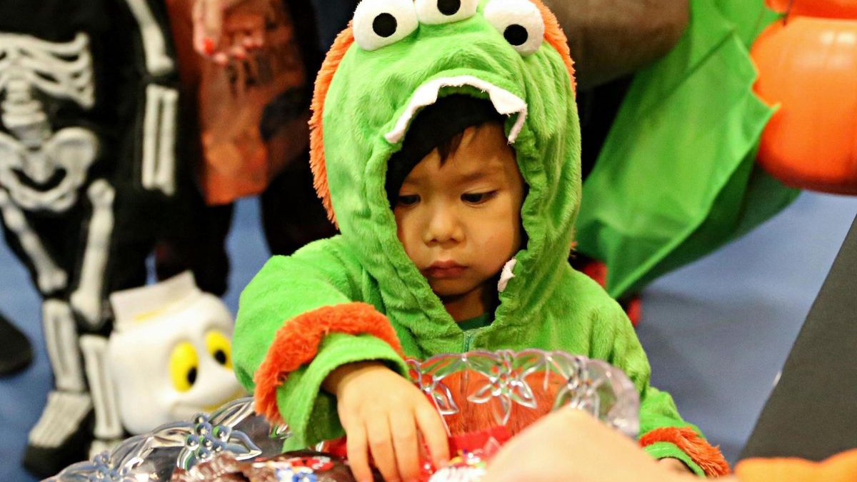 Things To Do This Weekend October 23-25, 2020