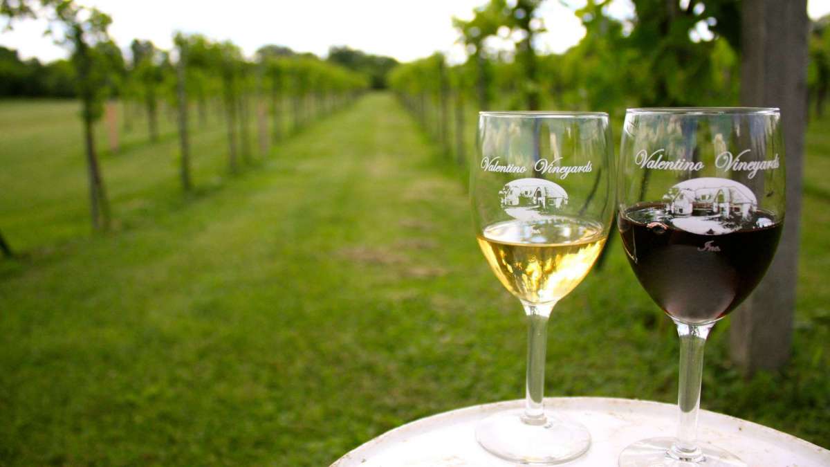 Tasty Tuesday: Wineries on the Lake County Libation Trail