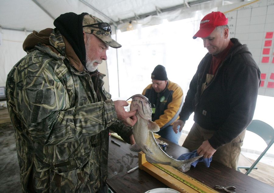 Things To Do This Weekend February 12-14