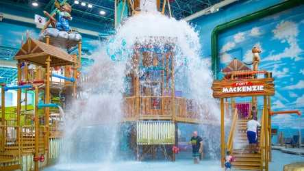 Things To Do This Weekend February 5-7