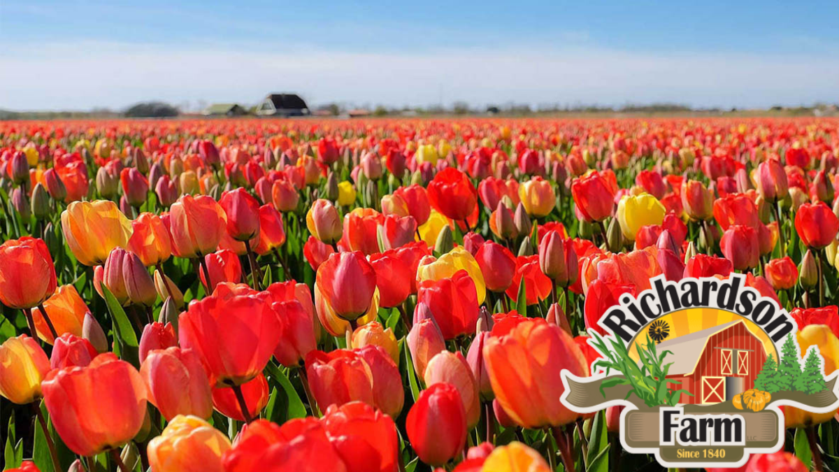 Things To Do This Weekend, April 23-25, 2021