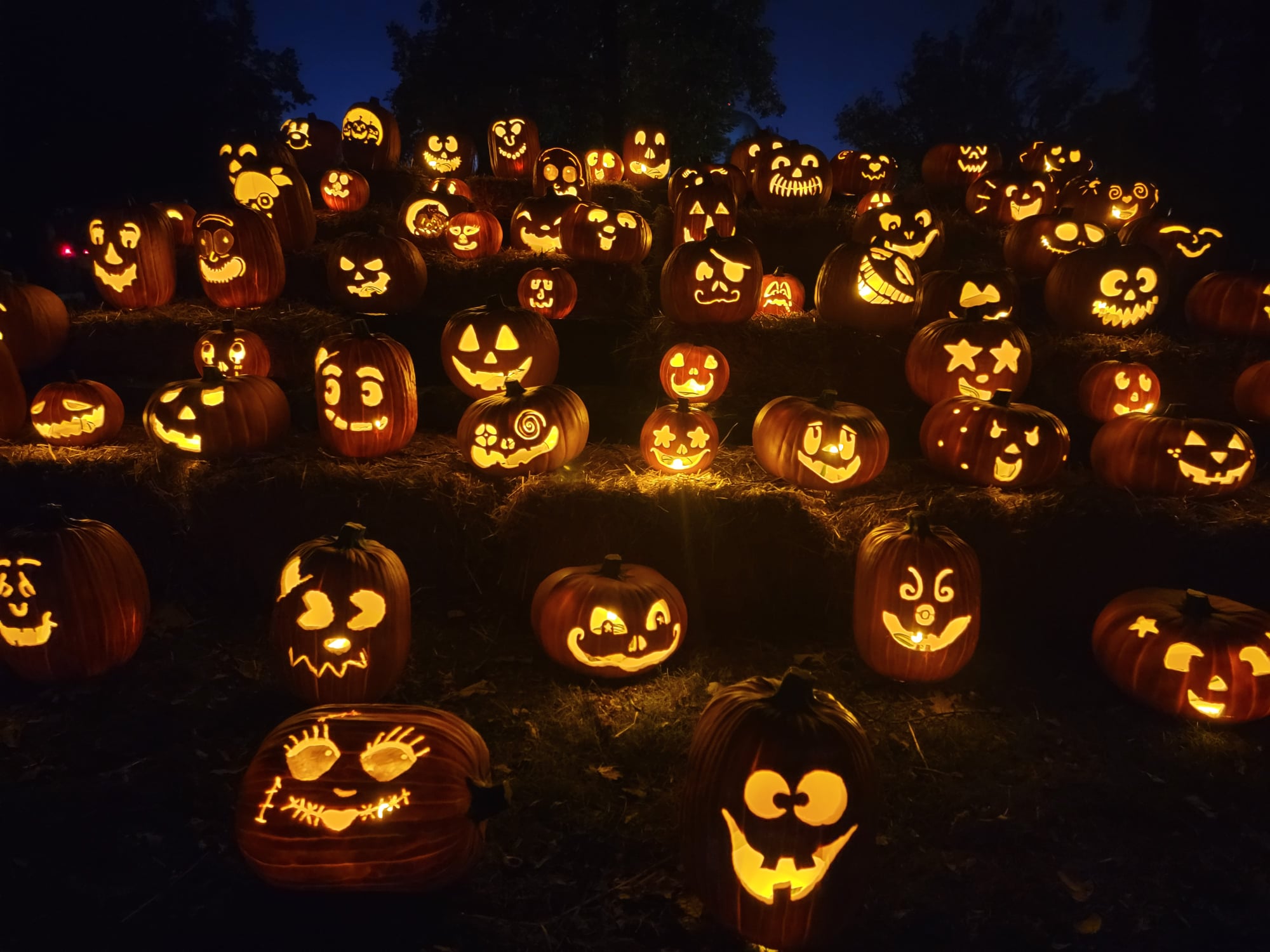 Top 10 Things To Do in October 2021