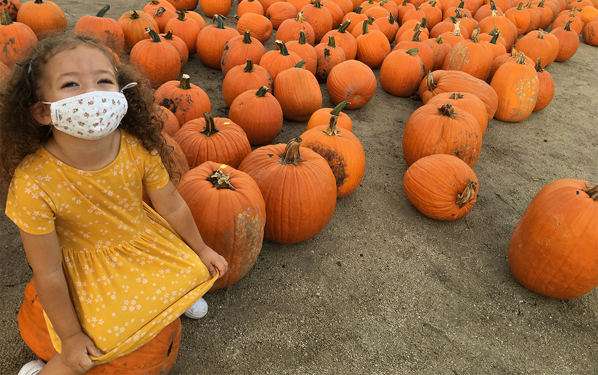 Where to Get a Pumpkin in Lake County 2021