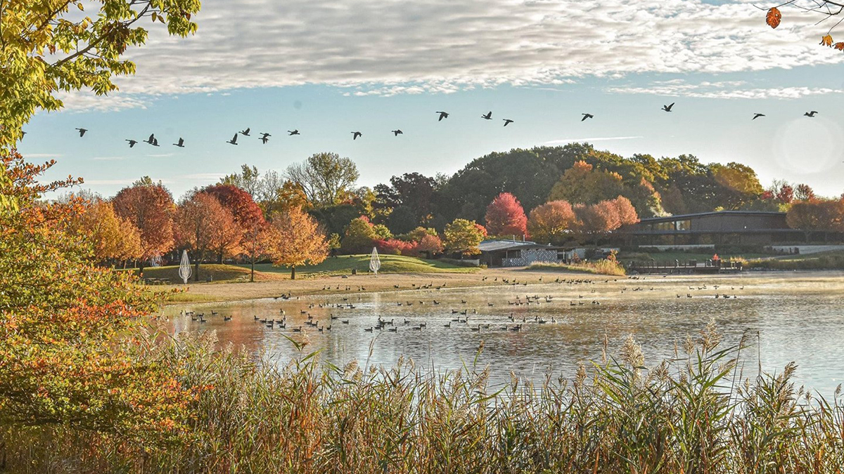 Things To Do This Weekend October 29-31, 2021