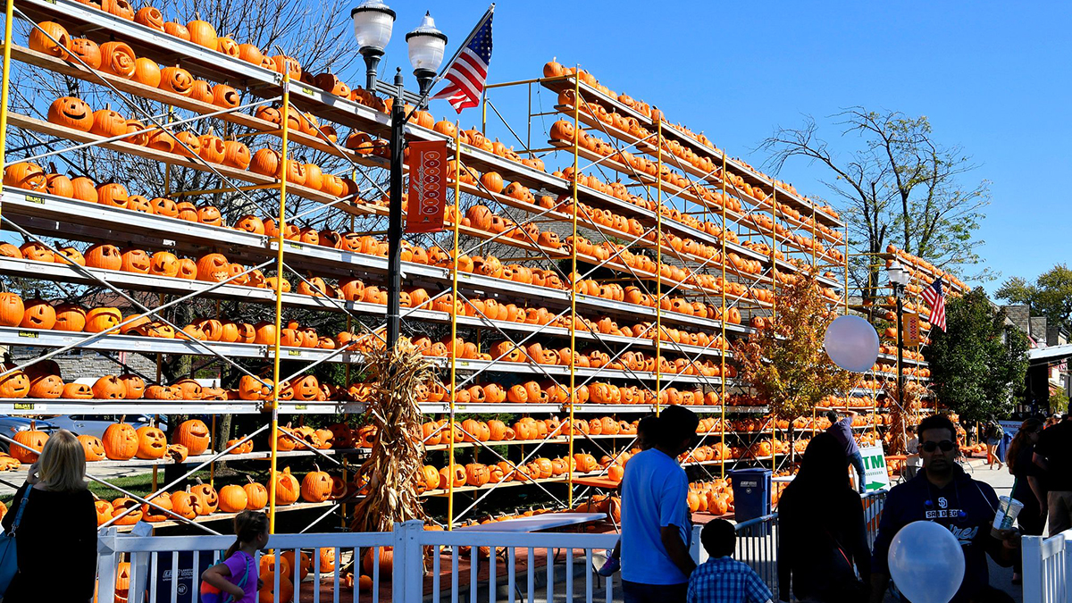 Things To Do This Weekend October 8-11, 2021