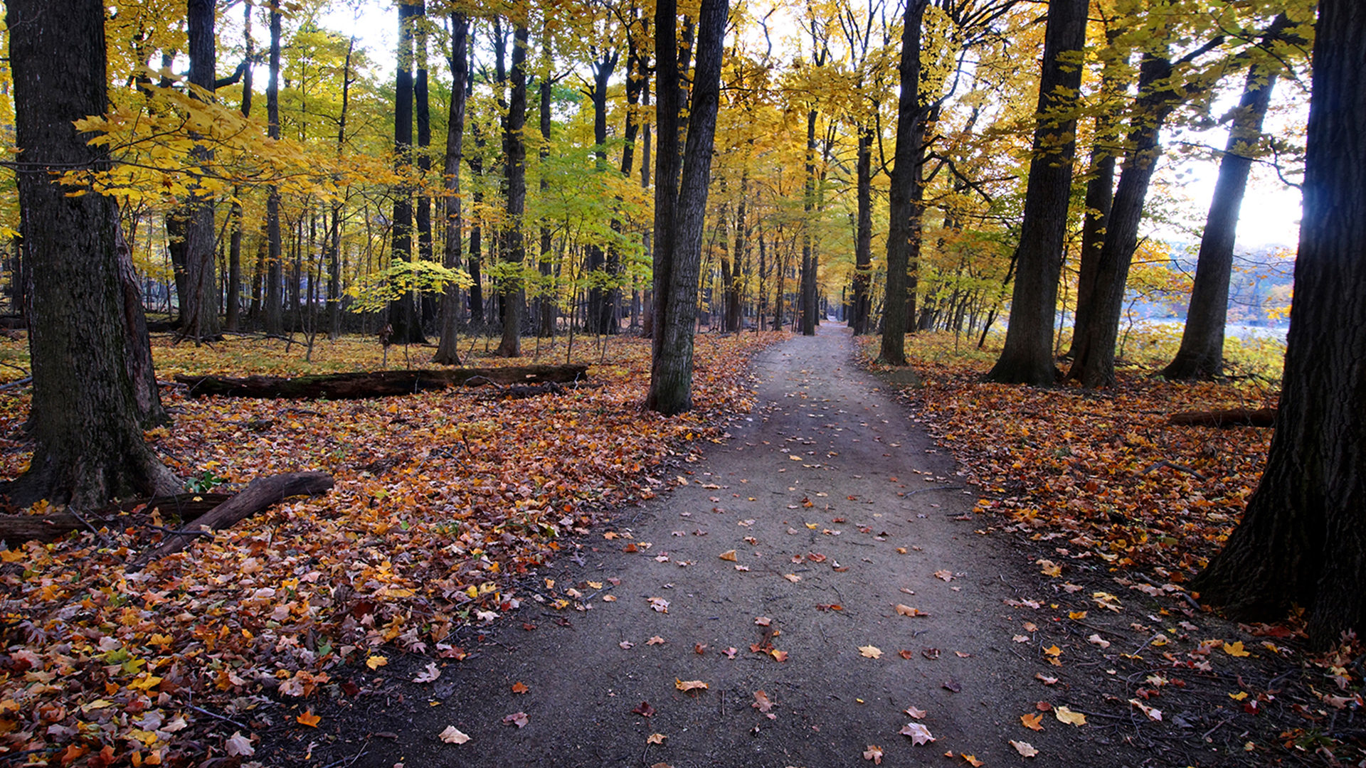 Fall Feels: Bike, Hike & View the Lake County Colors