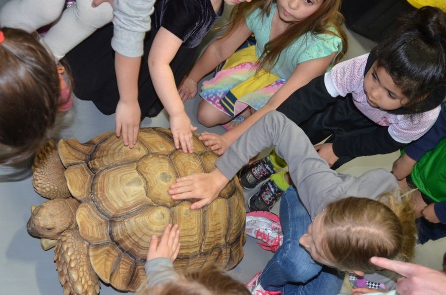 Things To Do This Weekend March 11-13, 2022