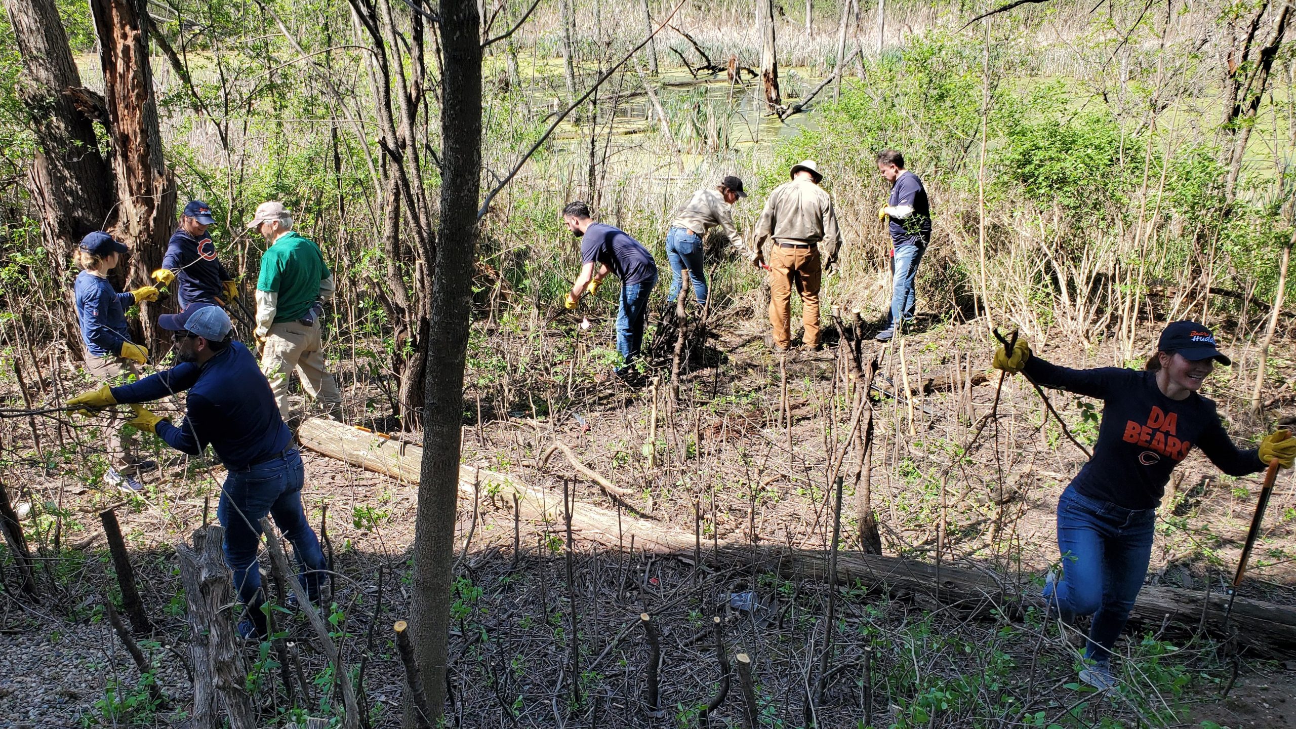 LCFPD and Chicago Bears Combat Buckthorn at Halas Hall