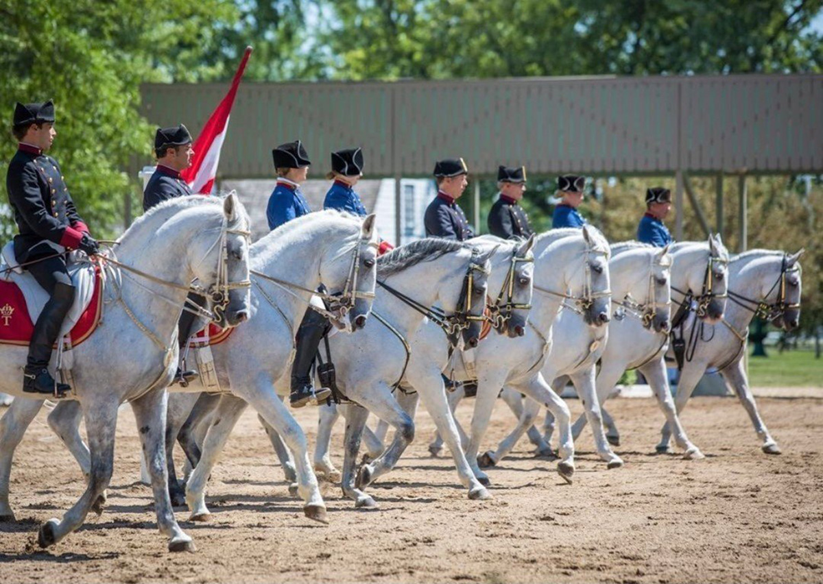 Things To Do This Weekend August 26-28, 2022