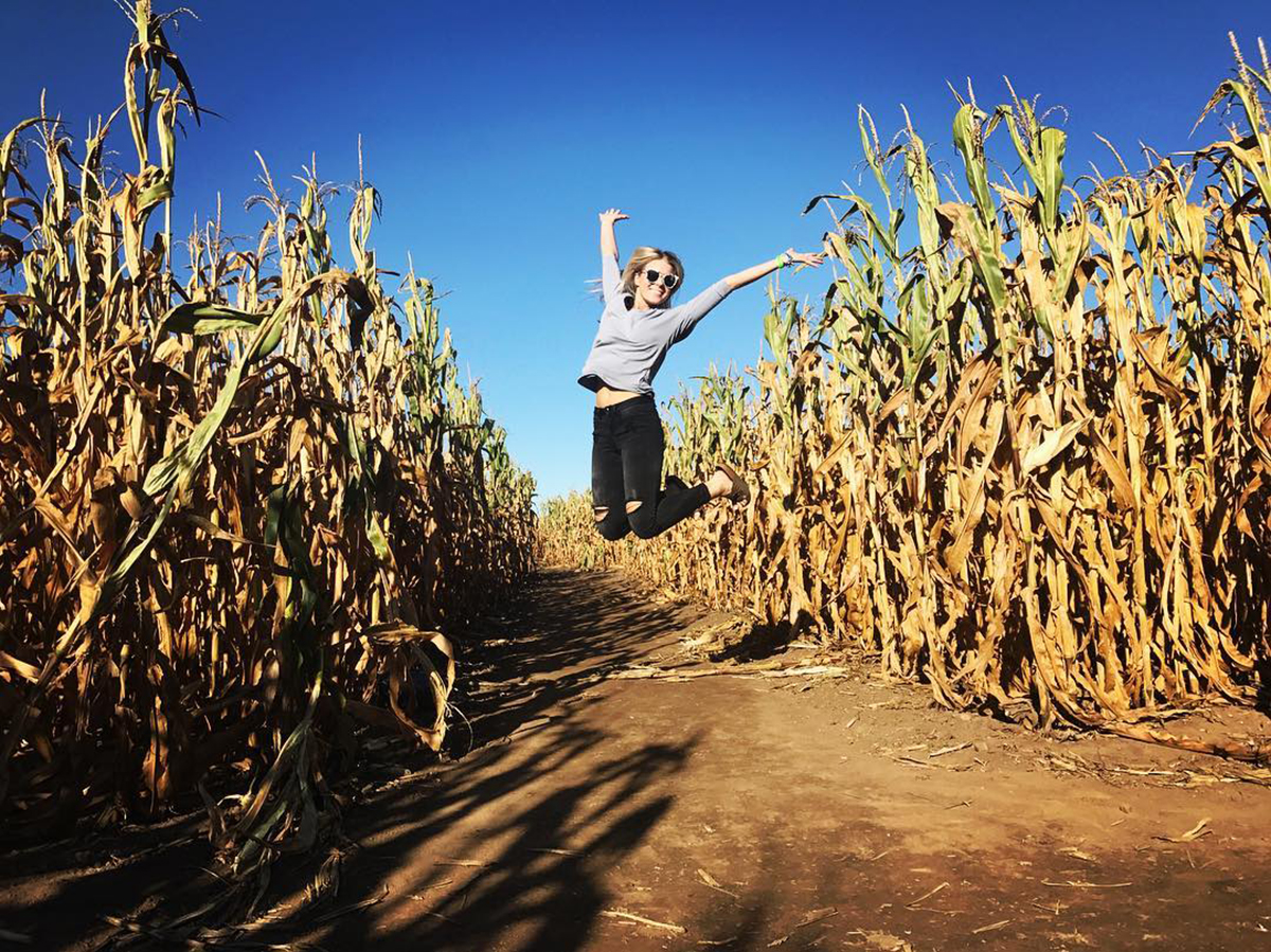 Fall Festival Guide in Lake County 2022