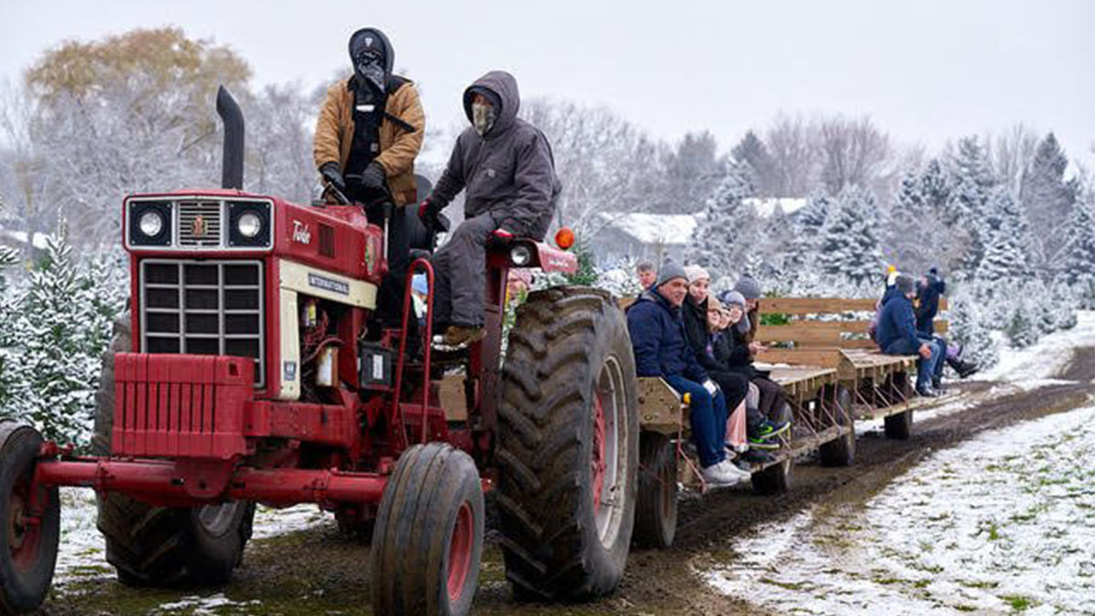 Top 10 Holiday Things To Do In Lake County 